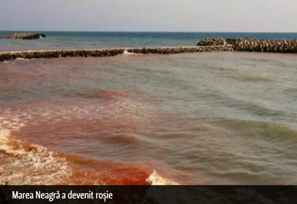 Fenomen rar pe litoralul românesc: Marea Neagră a devenit roșie. Noaptea, valurile sunt fosforescente
