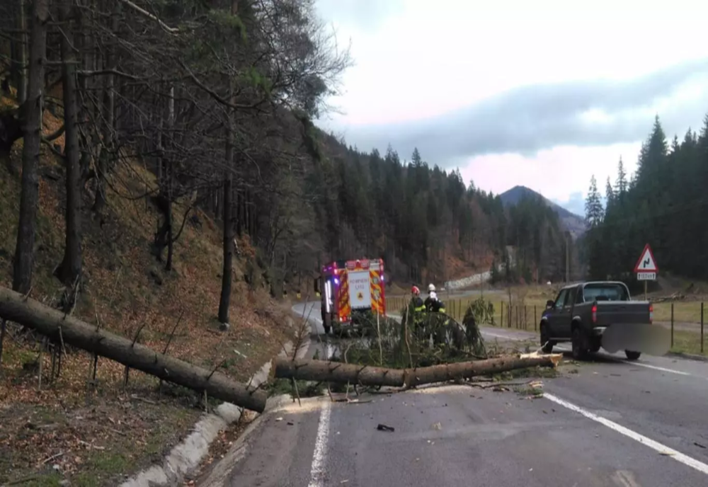 Copac căzut peste o maşină aflată în mers, în care se aflau un adult şi cinci copii