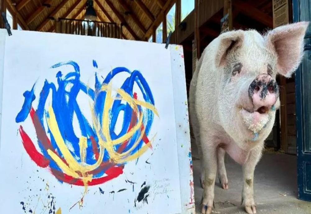 A murit porcul Pigcasso. Tablourile pictate de el, vândute cu peste 1 milion de dolari