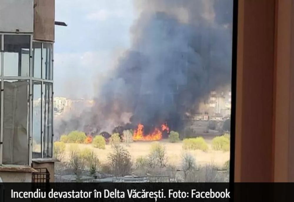 Incendiu devastator în Delta Văcărești. Pompierii intervin cu 11 autospeciale