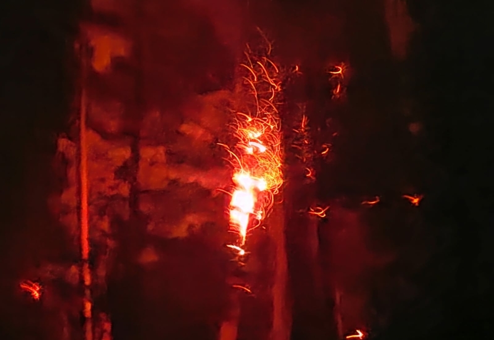 VIDEO Incendiu violent de pădure într-o zonă inaccesibilă din Munții Făgăraș