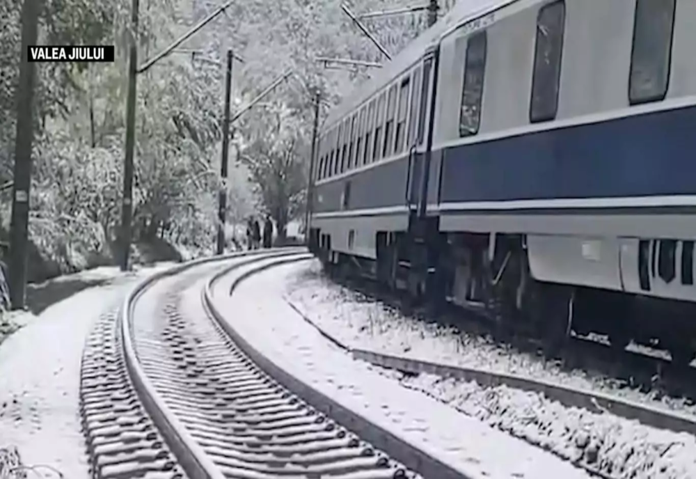 Copac doborât pe șine din cauza zăpezii, oameni blocați în tren