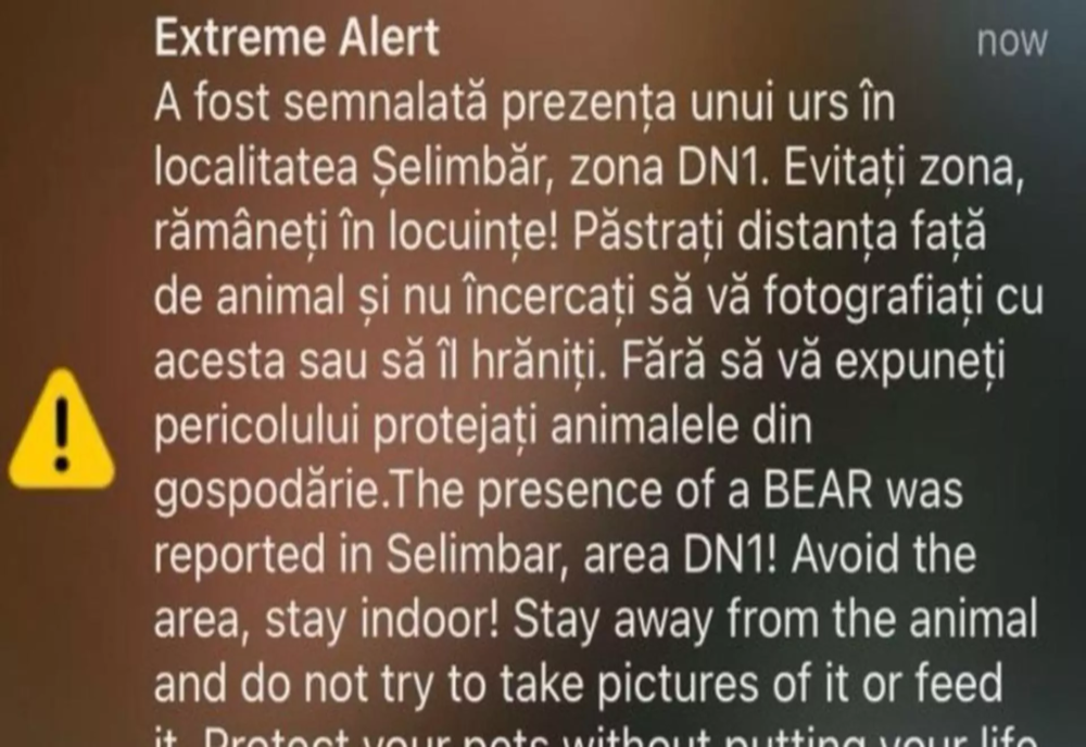 MESAJ Ro-Alert EMIS LA SIBIU. O URSOAICĂ CU DOI PUI, OBSERVATĂ PE DN1